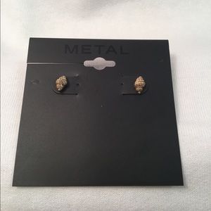 2 pack! Seashell Stud Earrings